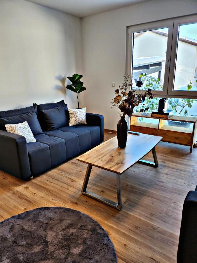 Lions Place Premium Apartments Comfort Optionaler Zugang Zum Spa- Bereich Heidenheim an der Brenz Kültér fotó