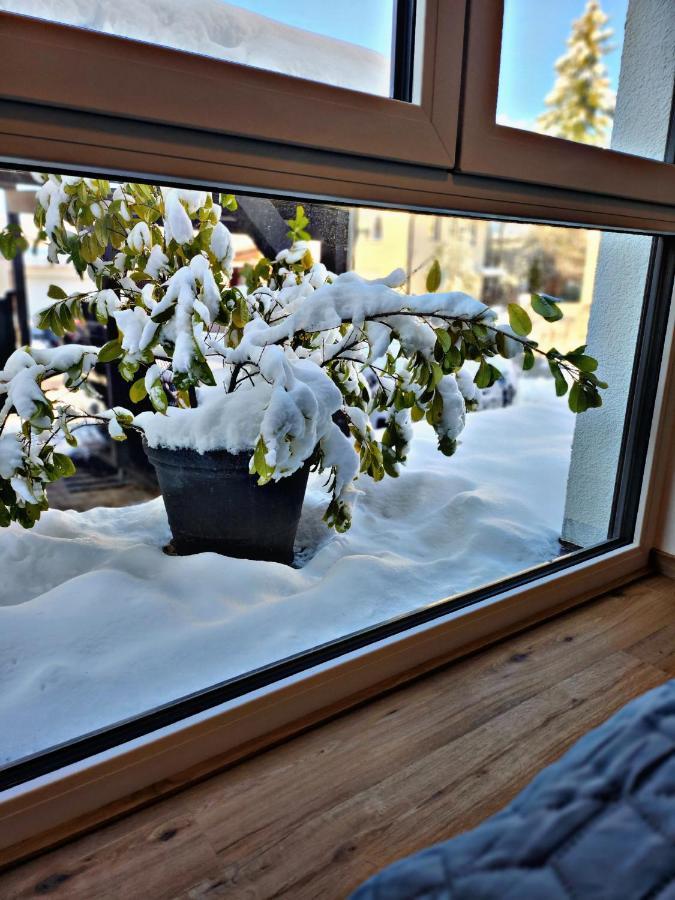 Lions Place Premium Apartments Comfort Optionaler Zugang Zum Spa- Bereich Heidenheim an der Brenz Kültér fotó