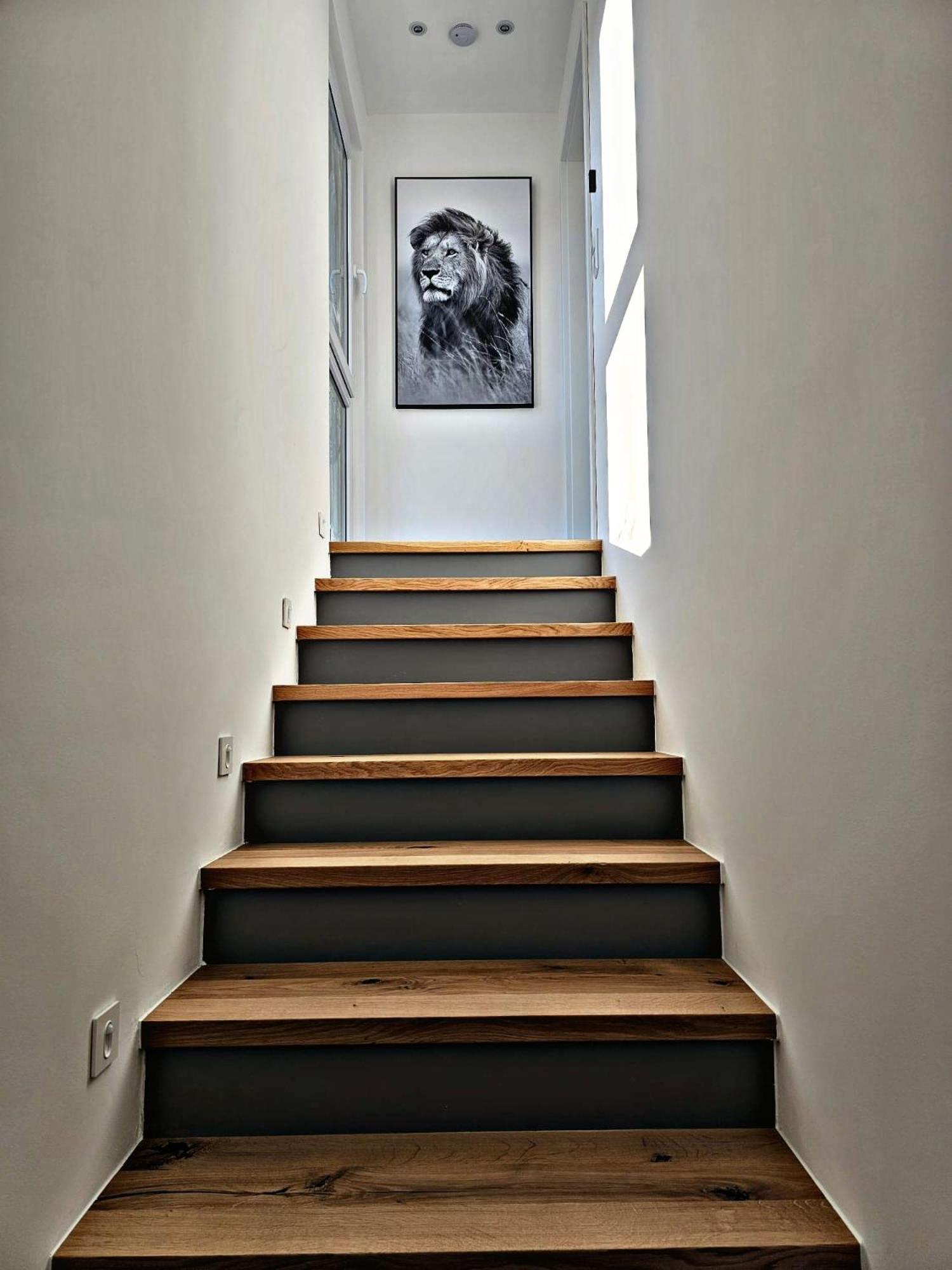 Lions Place Premium Apartments Comfort Optionaler Zugang Zum Spa- Bereich Heidenheim an der Brenz Kültér fotó