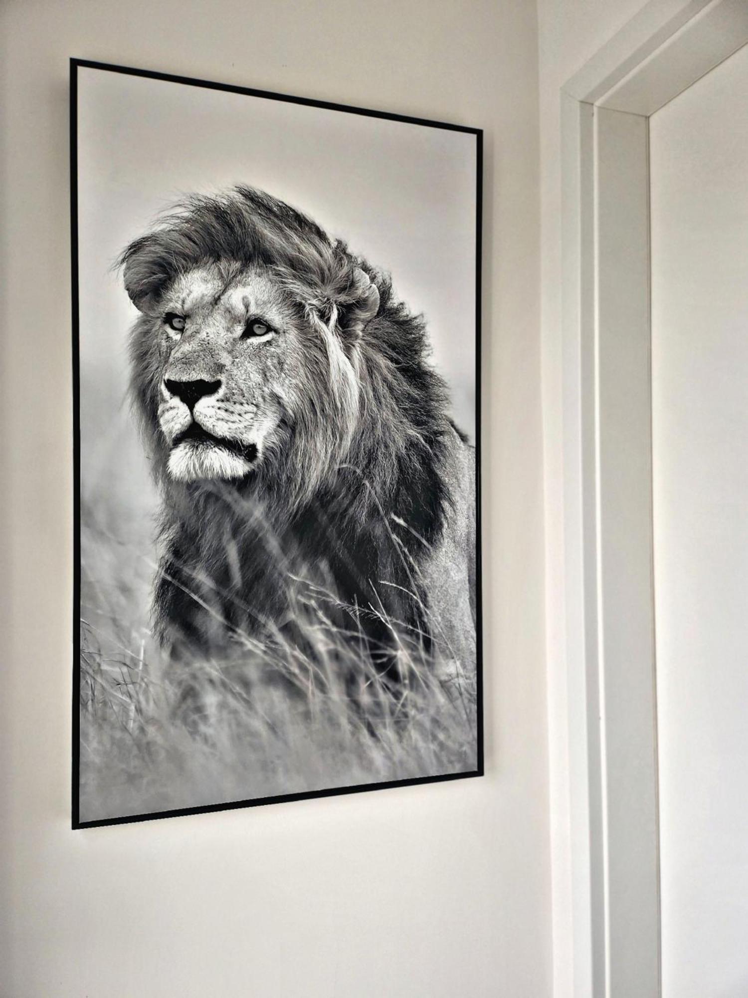 Lions Place Premium Apartments Comfort Optionaler Zugang Zum Spa- Bereich Heidenheim an der Brenz Kültér fotó